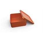 Altitude Arcadia Lunch Box Orange